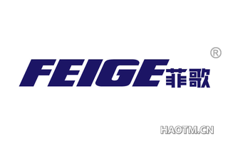 菲歌 