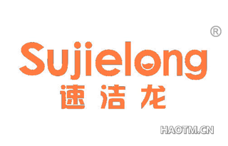 速洁龙 