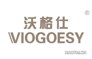 沃格仕 VIOGOESY