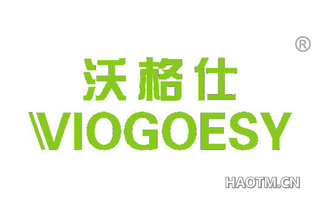 沃格仕 VIOGOESY