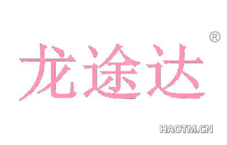 龙途达 