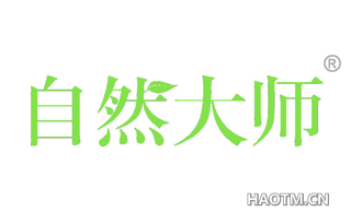 自然大师 
