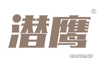潜鹰 