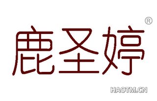 鹿圣婷 