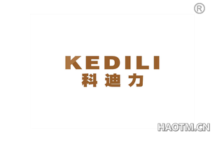 科迪力 