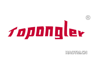 TOPONGLEY