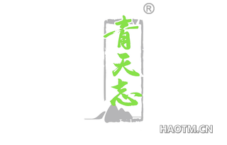 青天志 