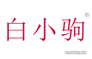 白小驹 