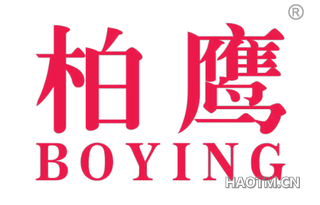 柏鹰 