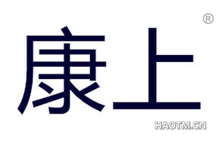 康上 