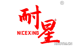 耐星 NICEXING