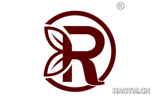 R图形