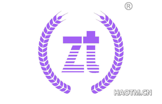 ZT图形