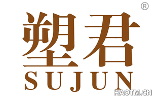 塑君 