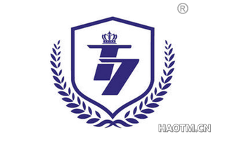 T7图形