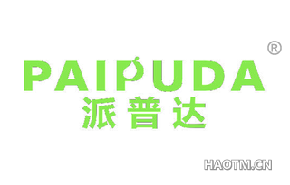 派普达 