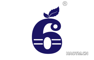 6图形
