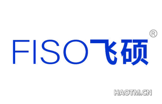 飞硕 FISO