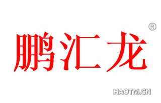 鹏汇龙 