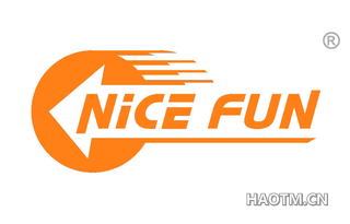 NICE FUN