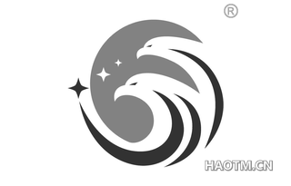 双鹰头图形