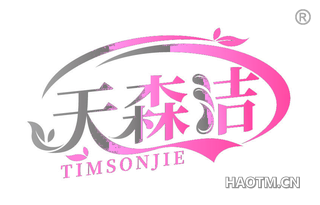 天森洁 TIMSONJIE