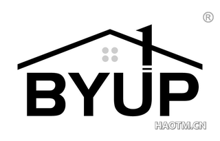 BYUP