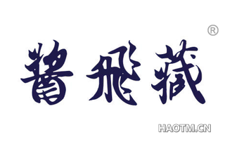 酱飞藏 