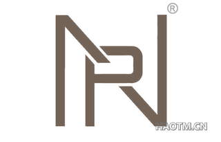 NP图形