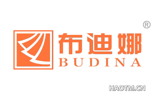 布迪娜 