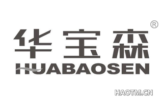 华宝森 