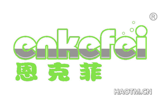 恩克菲 