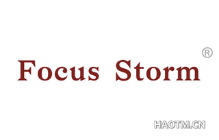 FOCUS STORM