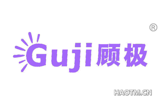 顾极 