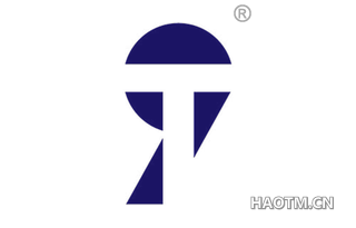 9T图形