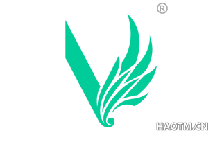 字母V图形