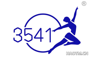 3541图形