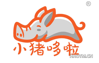 小猪哆啦 
