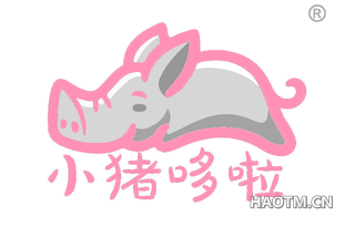 小猪哆啦 