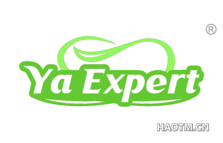 YA EXPERT