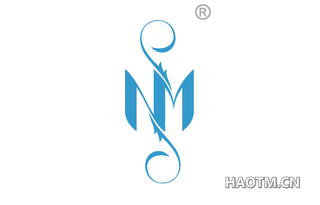NM图形