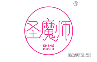 圣魔师 