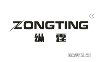 纵霆 ZONGTING