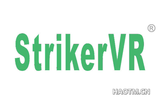 STRIKER VR