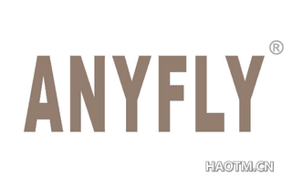 ANYFLY