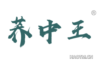 荞中王