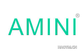 AMINI