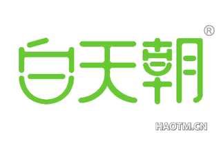 白天朝