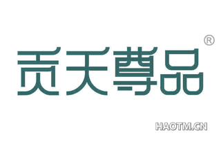贡天尊品