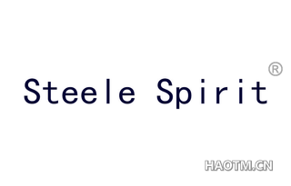 STEELE SPIRIT